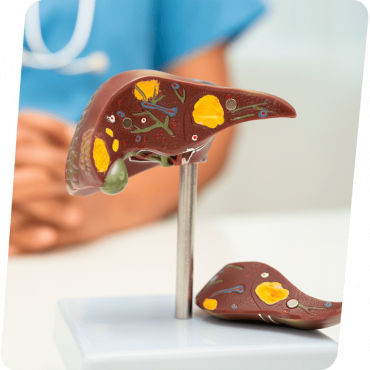 Anátomo Patológico em Centro Porto Alegre