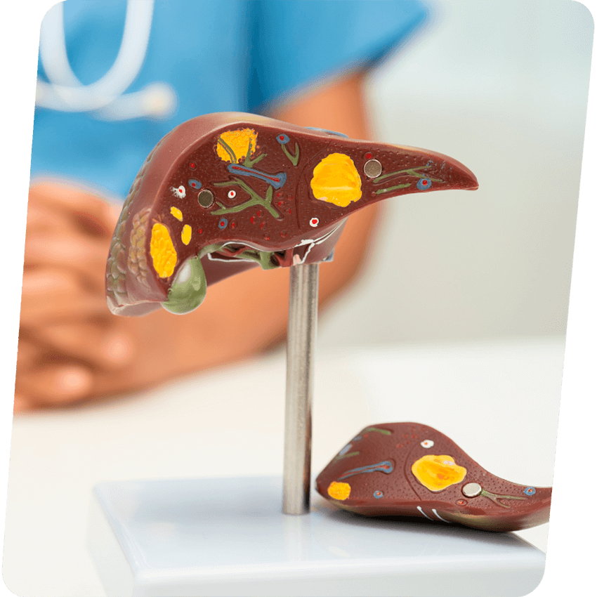 Anátomo Patológico